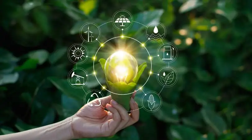 sustainabiity-img
