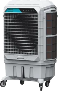 MicrosoftTeams-image