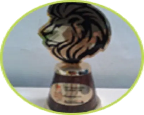 “Best Innovative Company Award”. “Best Innovative Company Award”.